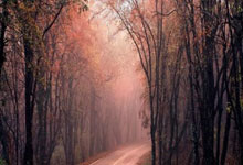 中国超级杯冠军谁最多？恒大曾四次夺冠，申花五次问鼎独享第一.