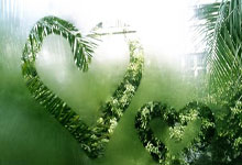 中国超级杯冠军谁最多？恒大曾四次夺冠，申花五次问鼎独享第一.